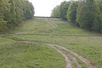 Cjp_2010_05_02_080000 (2).jpg